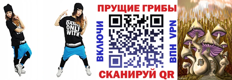 хочу   Солигалич  Галлюциногенные грибы Cubensis 